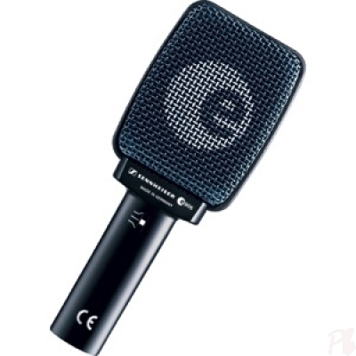 Sennheiser E906